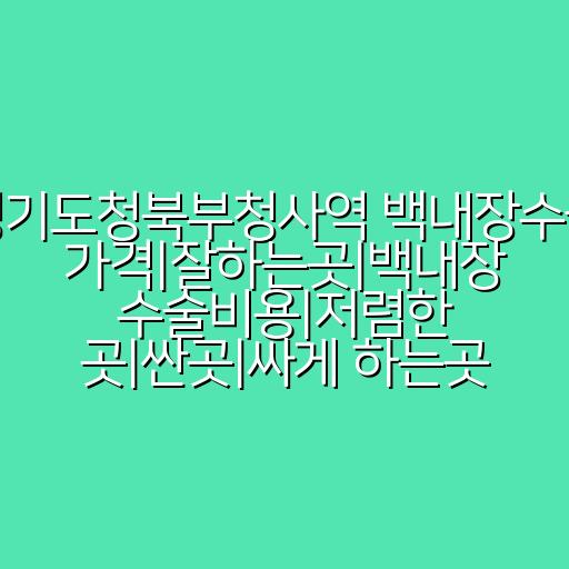 경기도청북부청사역 백내장수술 가격|잘하는곳|백내장 수술비용|저렴한 곳|싼곳|싸게 하는곳