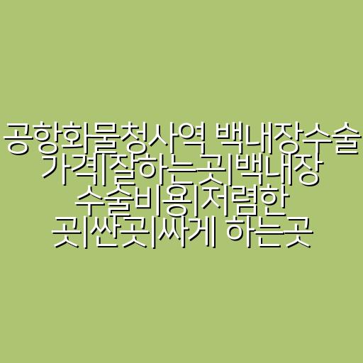 공항화물청사역 백내장수술 가격|잘하는곳|백내장 수술비용|저렴한 곳|싼곳|싸게 하는곳