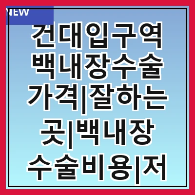 건대입구역 백내장수술 가격|잘하는곳|백내장 수술비용|저렴한 곳|싼곳|싸게 하는곳