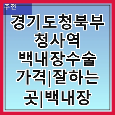 경기도청북부청사역 백내장수술 가격|잘하는곳|백내장 수술비용|저렴한 곳|싼곳|싸게 하는곳