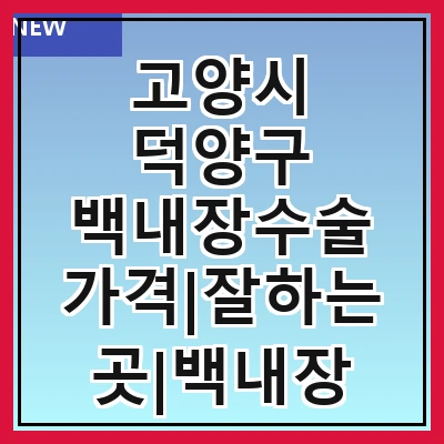 고양시 덕양구 백내장수술 가격|잘하는곳|백내장 수술비용|저렴한 곳|싼곳|싸게 하는곳