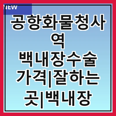 공항화물청사역 백내장수술 가격|잘하는곳|백내장 수술비용|저렴한 곳|싼곳|싸게 하는곳