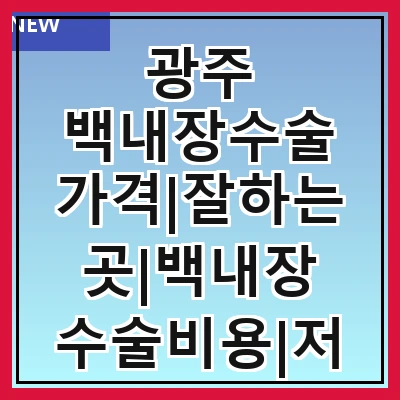 광주 백내장수술 가격|잘하는곳|백내장 수술비용|저렴한 곳|싼곳|싸게 하는곳