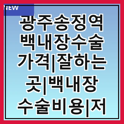 광주송정역 백내장수술 가격|잘하는곳|백내장 수술비용|저렴한 곳|싼곳|싸게 하는곳