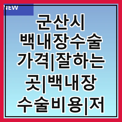 군산시 백내장수술 가격|잘하는곳|백내장 수술비용|저렴한 곳|싼곳|싸게 하는곳