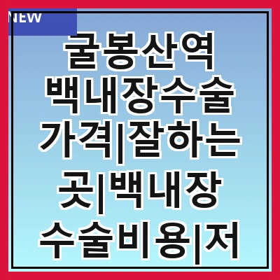 굴봉산역 백내장수술 가격|잘하는곳|백내장 수술비용|저렴한 곳|싼곳|싸게 하는곳