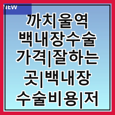 까치울역 백내장수술 가격|잘하는곳|백내장 수술비용|저렴한 곳|싼곳|싸게 하는곳