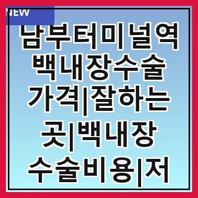 남부터미널역 백내장수술 가격|잘하는곳|백내장 수술비용|저렴한 곳|싼곳|싸게 하는곳