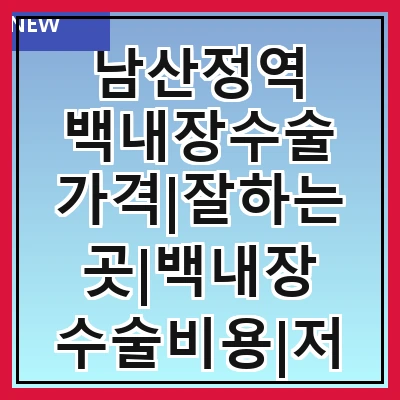 남산정역 백내장수술 가격|잘하는곳|백내장 수술비용|저렴한 곳|싼곳|싸게 하는곳
