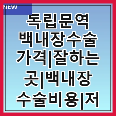 독립문역 백내장수술 가격|잘하는곳|백내장 수술비용|저렴한 곳|싼곳|싸게 하는곳