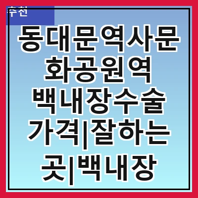 동대문역사문화공원역 백내장수술 가격|잘하는곳|백내장 수술비용|저렴한 곳|싼곳|싸게 하는곳