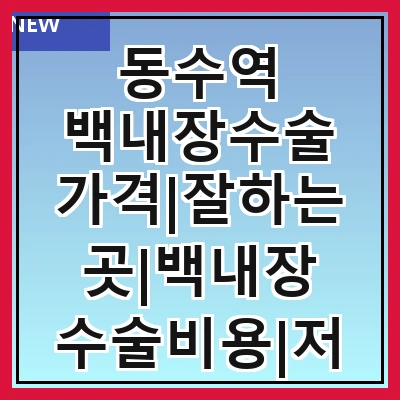 동수역 백내장수술 가격|잘하는곳|백내장 수술비용|저렴한 곳|싼곳|싸게 하는곳