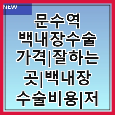 문수역 백내장수술 가격|잘하는곳|백내장 수술비용|저렴한 곳|싼곳|싸게 하는곳