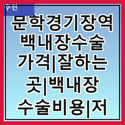 문학경기장역 백내장수술 가격|잘하는곳|백내장 수술비용|저렴한 곳|싼곳|싸게 하는곳