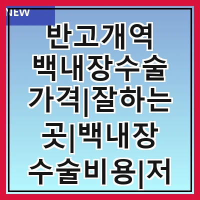반고개역 백내장수술 가격|잘하는곳|백내장 수술비용|저렴한 곳|싼곳|싸게 하는곳