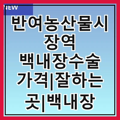 반여농산물시장역 백내장수술 가격|잘하는곳|백내장 수술비용|저렴한 곳|싼곳|싸게 하는곳