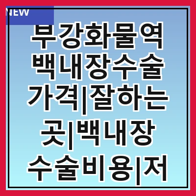 부강화물역 백내장수술 가격|잘하는곳|백내장 수술비용|저렴한 곳|싼곳|싸게 하는곳