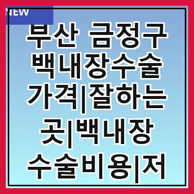 부산 금정구 백내장수술 가격|잘하는곳|백내장 수술비용|저렴한 곳|싼곳|싸게 하는곳