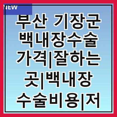 부산 기장군 백내장수술 가격|잘하는곳|백내장 수술비용|저렴한 곳|싼곳|싸게 하는곳