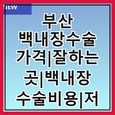 부산 백내장수술 가격|잘하는곳|백내장 수술비용|저렴한 곳|싼곳|싸게 하는곳