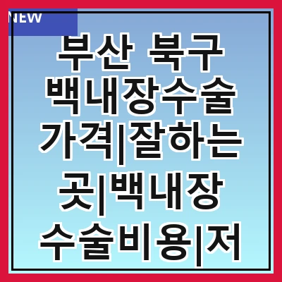 부산 북구 백내장수술 가격|잘하는곳|백내장 수술비용|저렴한 곳|싼곳|싸게 하는곳