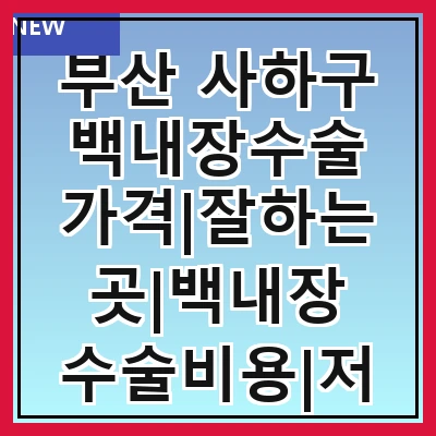 부산 사하구 백내장수술 가격|잘하는곳|백내장 수술비용|저렴한 곳|싼곳|싸게 하는곳