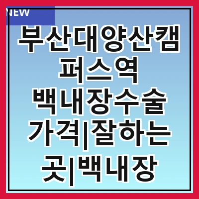 부산대양산캠퍼스역 백내장수술 가격|잘하는곳|백내장 수술비용|저렴한 곳|싼곳|싸게 하는곳