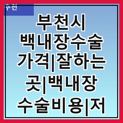 부천시 백내장수술 가격|잘하는곳|백내장 수술비용|저렴한 곳|싼곳|싸게 하는곳