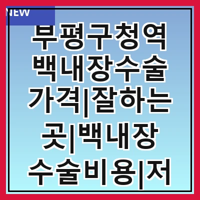 부평구청역 백내장수술 가격|잘하는곳|백내장 수술비용|저렴한 곳|싼곳|싸게 하는곳