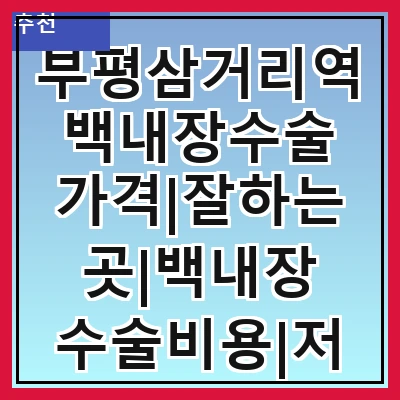 부평삼거리역 백내장수술 가격|잘하는곳|백내장 수술비용|저렴한 곳|싼곳|싸게 하는곳