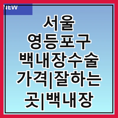 서울 영등포구 백내장수술 가격|잘하는곳|백내장 수술비용|저렴한 곳|싼곳|싸게 하는곳