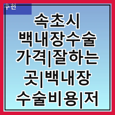 속초시 백내장수술 가격|잘하는곳|백내장 수술비용|저렴한 곳|싼곳|싸게 하는곳