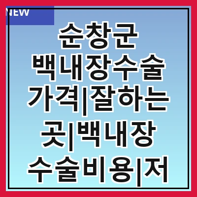 순창군 백내장수술 가격|잘하는곳|백내장 수술비용|저렴한 곳|싼곳|싸게 하는곳