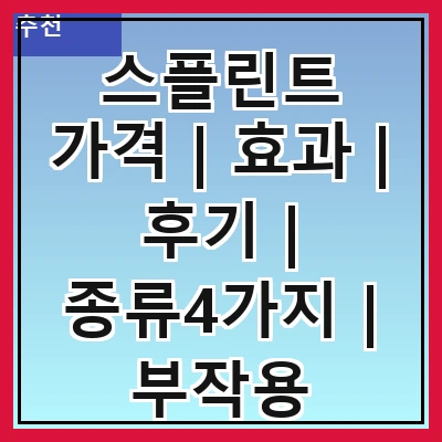 스플린트 가격 | 효과 | 후기 | 종류4가지 | 부작용 총정리