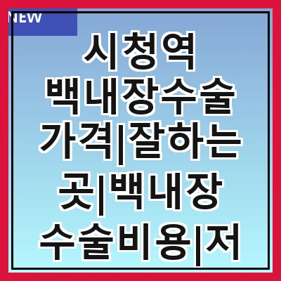 시청역 백내장수술 가격|잘하는곳|백내장 수술비용|저렴한 곳|싼곳|싸게 하는곳