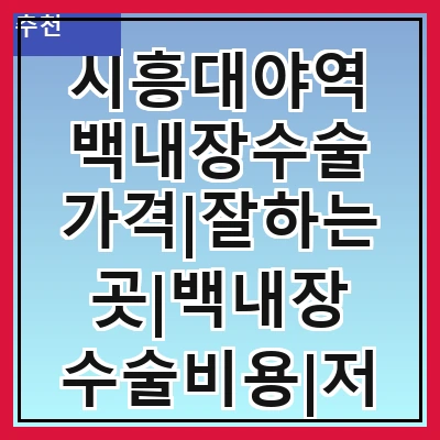 시흥대야역 백내장수술 가격|잘하는곳|백내장 수술비용|저렴한 곳|싼곳|싸게 하는곳