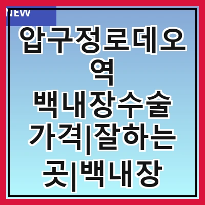 압구정로데오역 백내장수술 가격|잘하는곳|백내장 수술비용|저렴한 곳|싼곳|싸게 하는곳