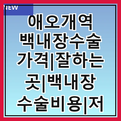 애오개역 백내장수술 가격|잘하는곳|백내장 수술비용|저렴한 곳|싼곳|싸게 하는곳
