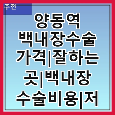 양동역 백내장수술 가격|잘하는곳|백내장 수술비용|저렴한 곳|싼곳|싸게 하는곳