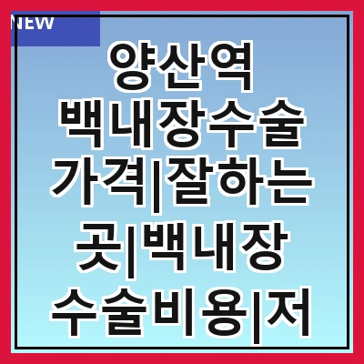 양산역 백내장수술 가격|잘하는곳|백내장 수술비용|저렴한 곳|싼곳|싸게 하는곳