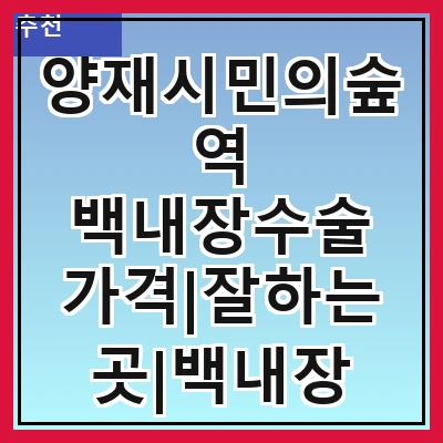 양재시민의숲역 백내장수술 가격|잘하는곳|백내장 수술비용|저렴한 곳|싼곳|싸게 하는곳