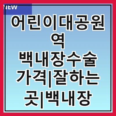 어린이대공원역 백내장수술 가격|잘하는곳|백내장 수술비용|저렴한 곳|싼곳|싸게 하는곳