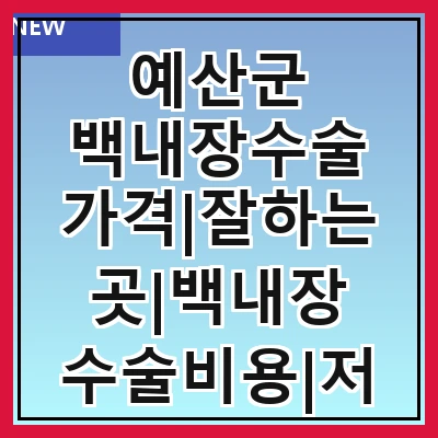 예산군 백내장수술 가격|잘하는곳|백내장 수술비용|저렴한 곳|싼곳|싸게 하는곳
