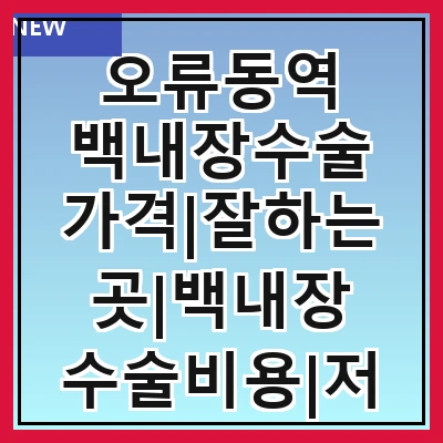 오류동역 백내장수술 가격|잘하는곳|백내장 수술비용|저렴한 곳|싼곳|싸게 하는곳