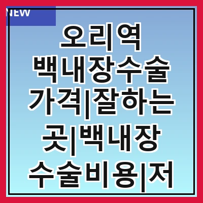 오리역 백내장수술 가격|잘하는곳|백내장 수술비용|저렴한 곳|싼곳|싸게 하는곳