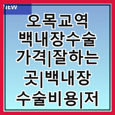 오목교역 백내장수술 가격|잘하는곳|백내장 수술비용|저렴한 곳|싼곳|싸게 하는곳