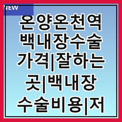 온양온천역 백내장수술 가격|잘하는곳|백내장 수술비용|저렴한 곳|싼곳|싸게 하는곳