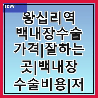 왕십리역 백내장수술 가격|잘하는곳|백내장 수술비용|저렴한 곳|싼곳|싸게 하는곳