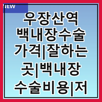 우장산역 백내장수술 가격|잘하는곳|백내장 수술비용|저렴한 곳|싼곳|싸게 하는곳