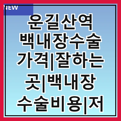 운길산역 백내장수술 가격|잘하는곳|백내장 수술비용|저렴한 곳|싼곳|싸게 하는곳